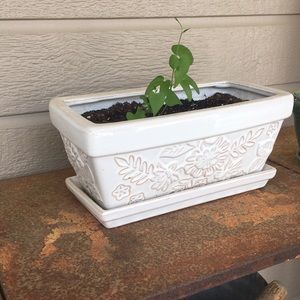 Meet your Posher, Casey